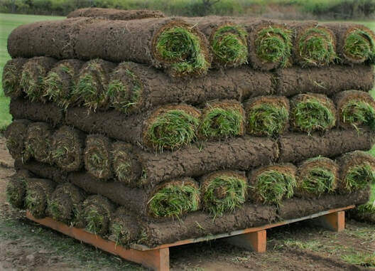 Pallet of Sod