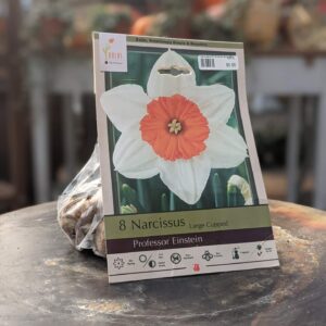 Bulbs & Seeds