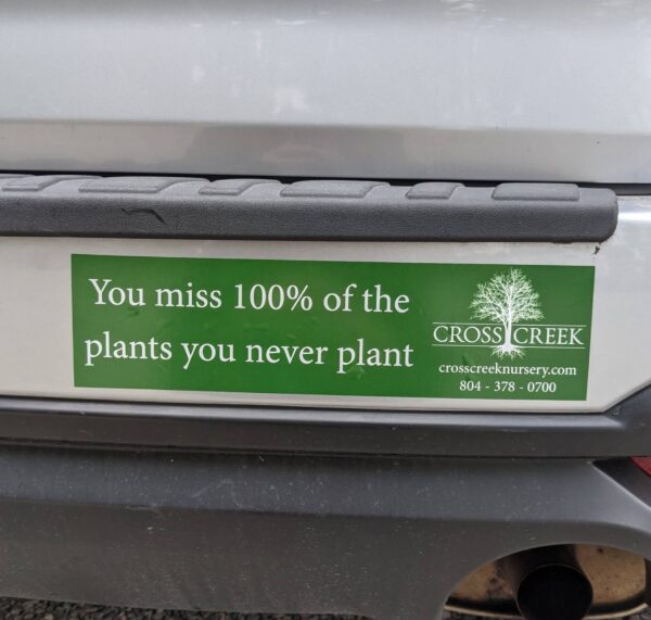 green bumper sticker