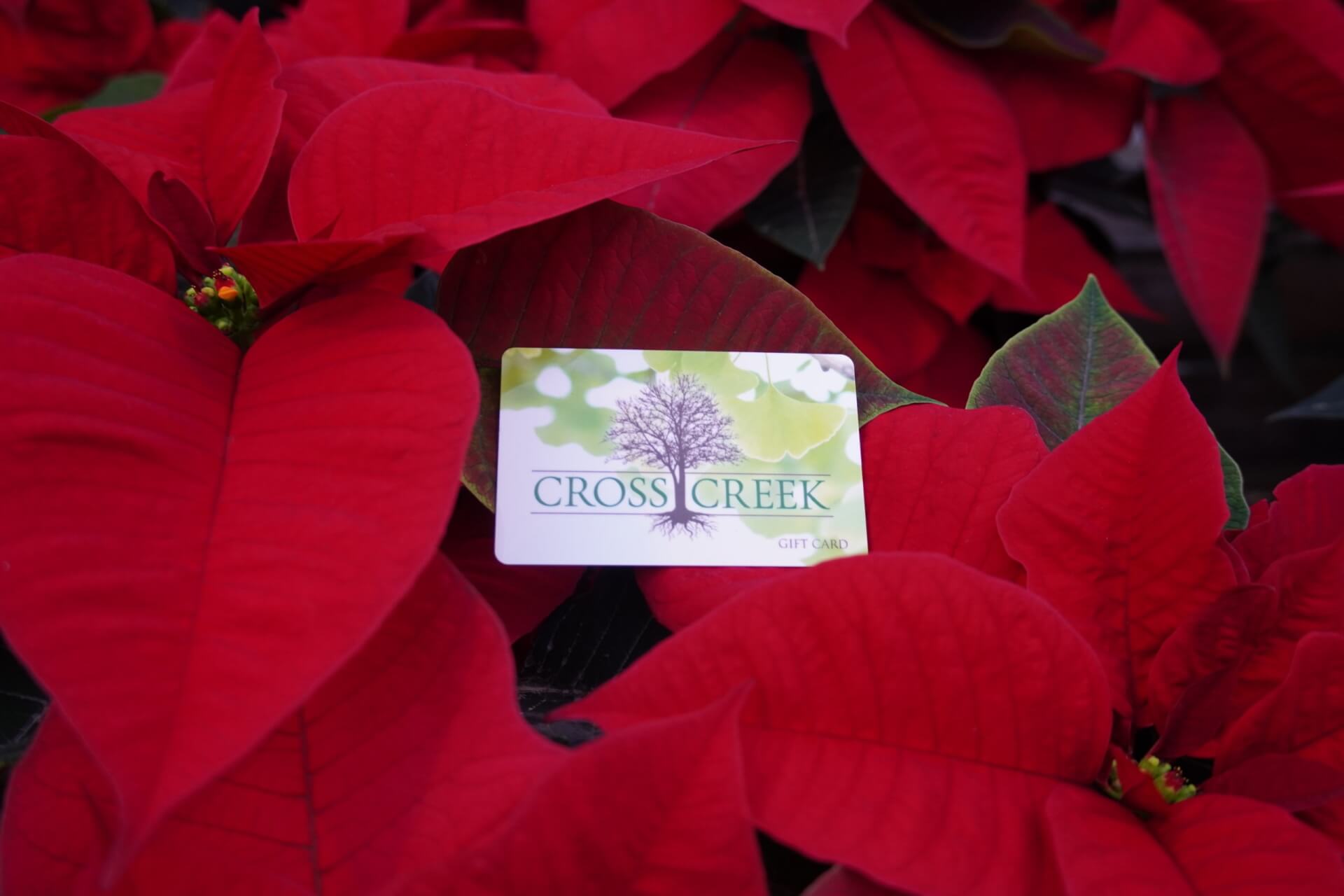 CC Gift Card