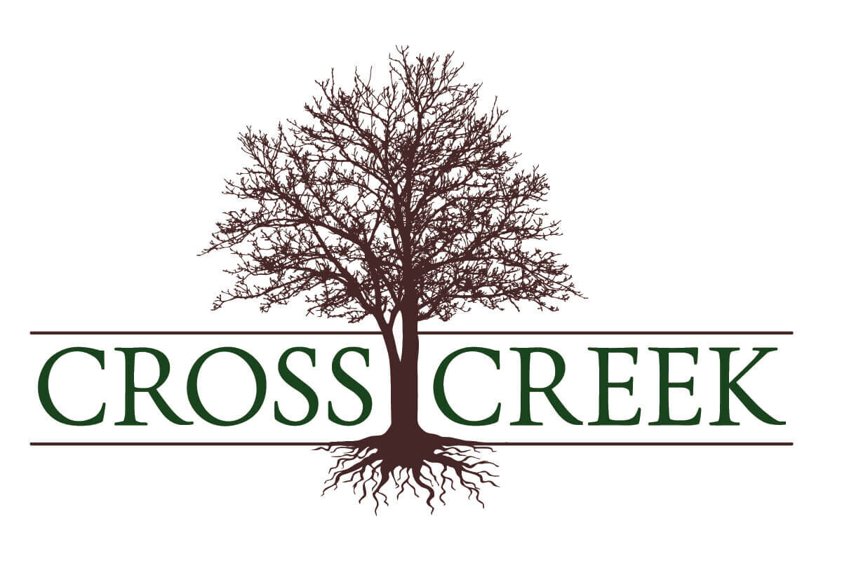 Ficus Audrey 6" • Cross Creek Nursery and Landscape