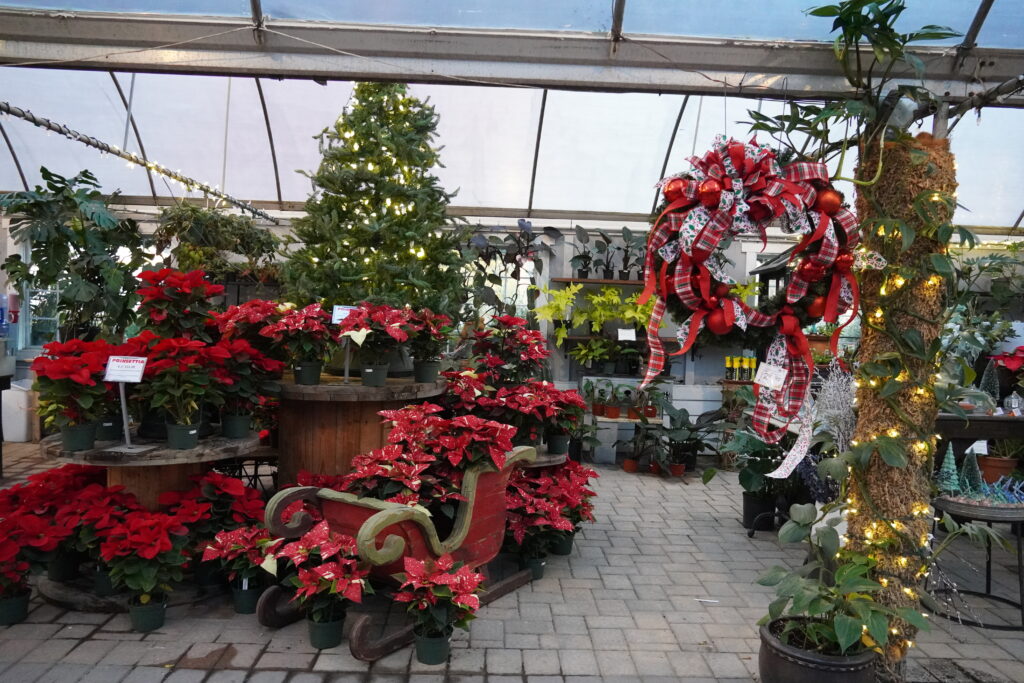 greenhouse decorated for the holidays
