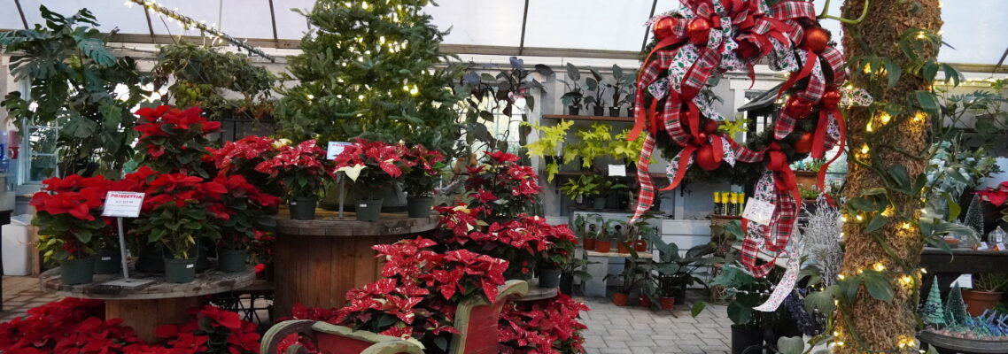 greenhouse decorated for the holidays