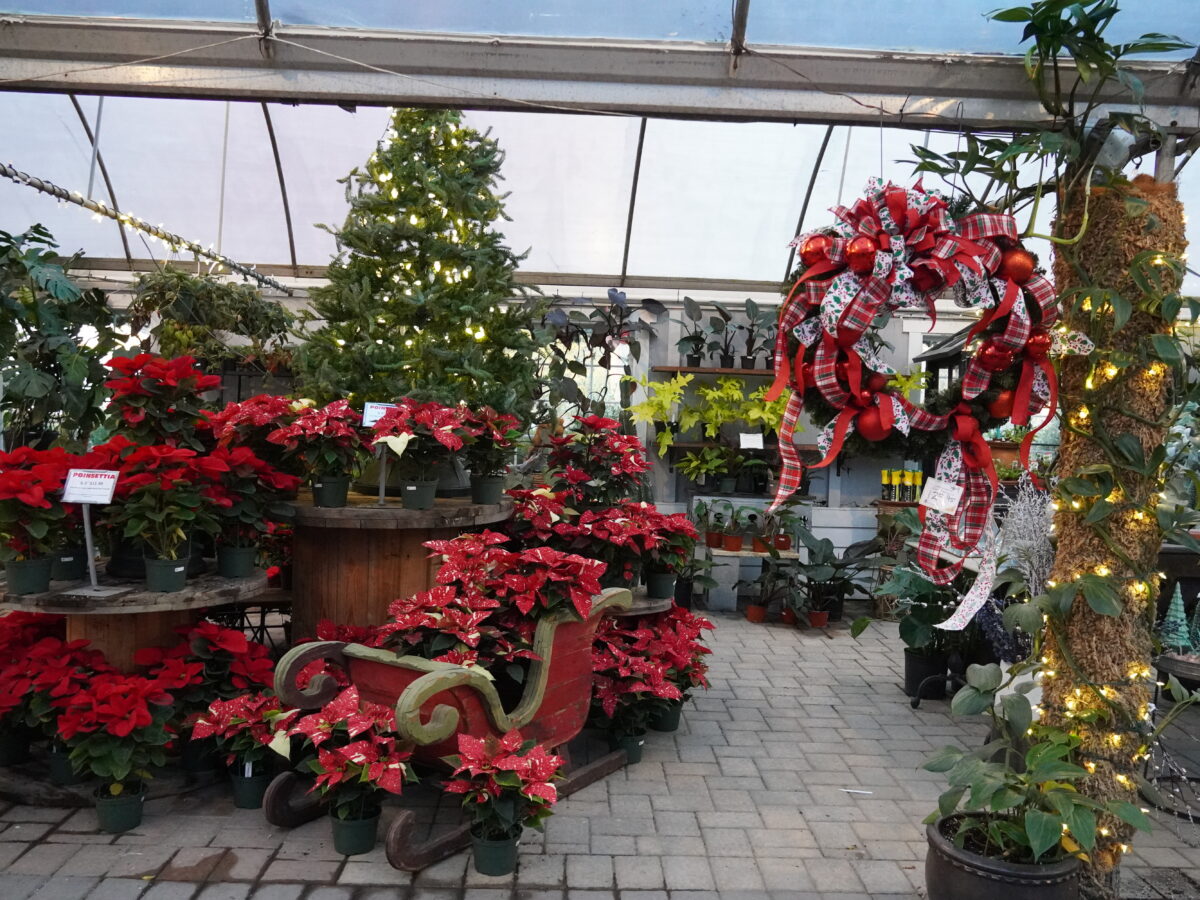greenhouse decorated for the holidays