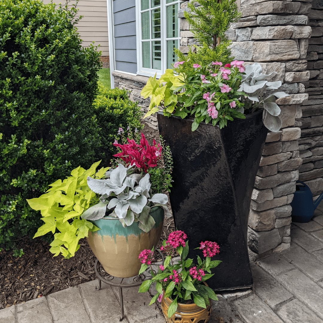 container gardens by interiorscapes