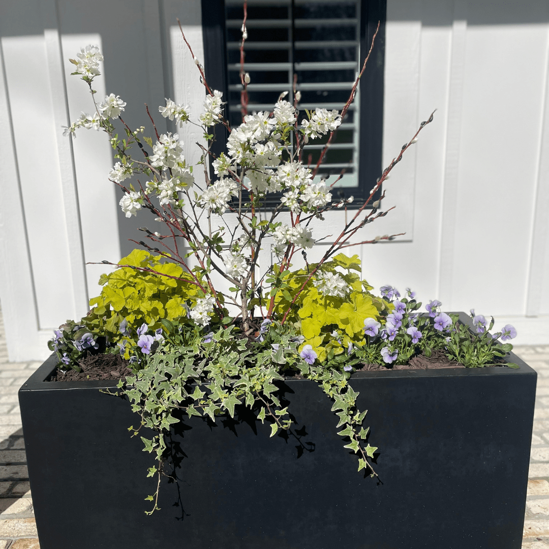 container garden by interiorscapes