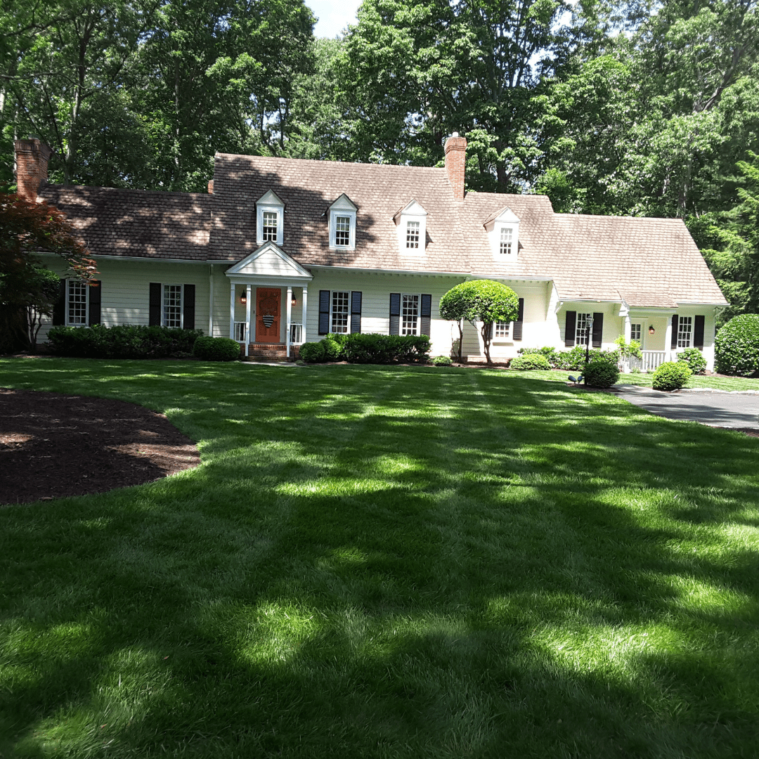 freshly mowed lawn grounds