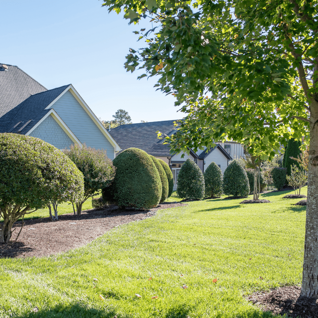 freshly mowed grounds