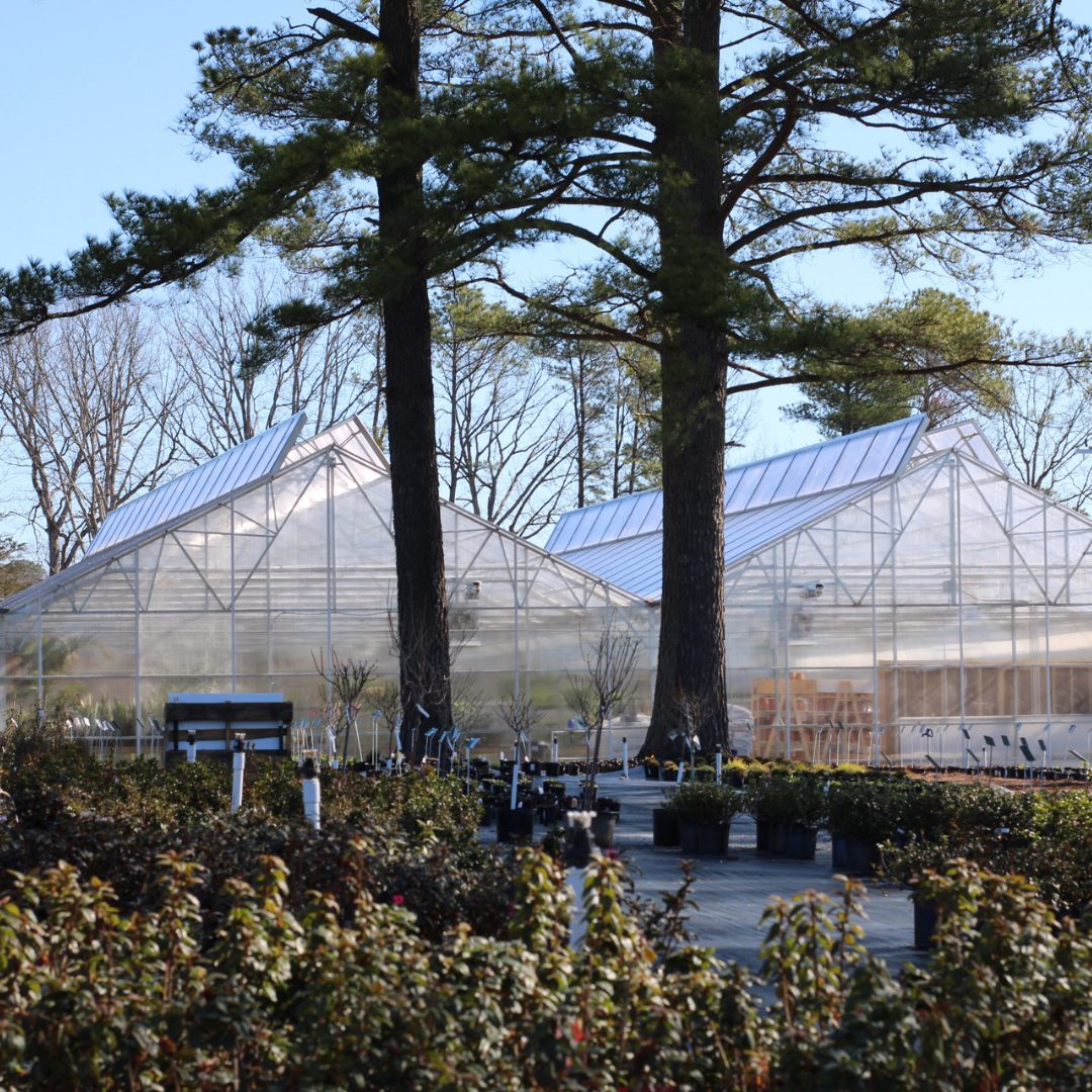 grounds and greenhouse at west end location