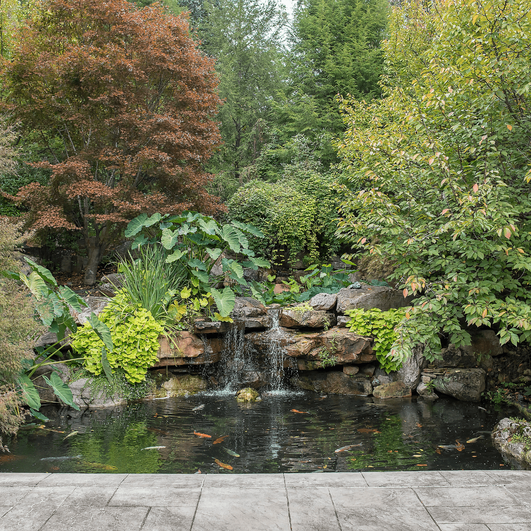landscape project pond