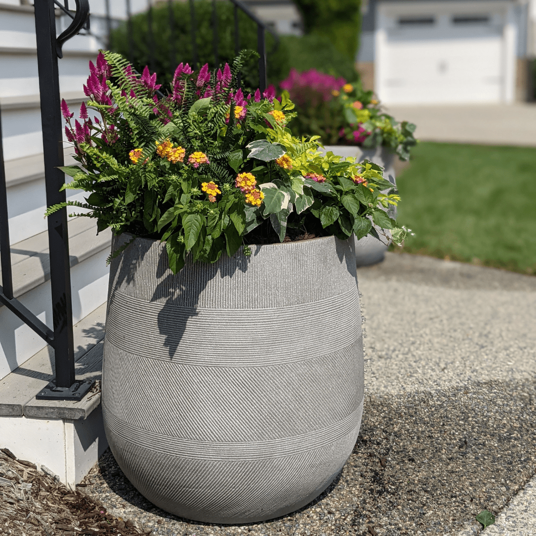 container garden