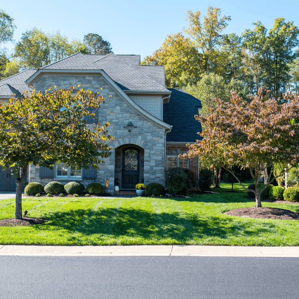 freshly cut lawn grounds