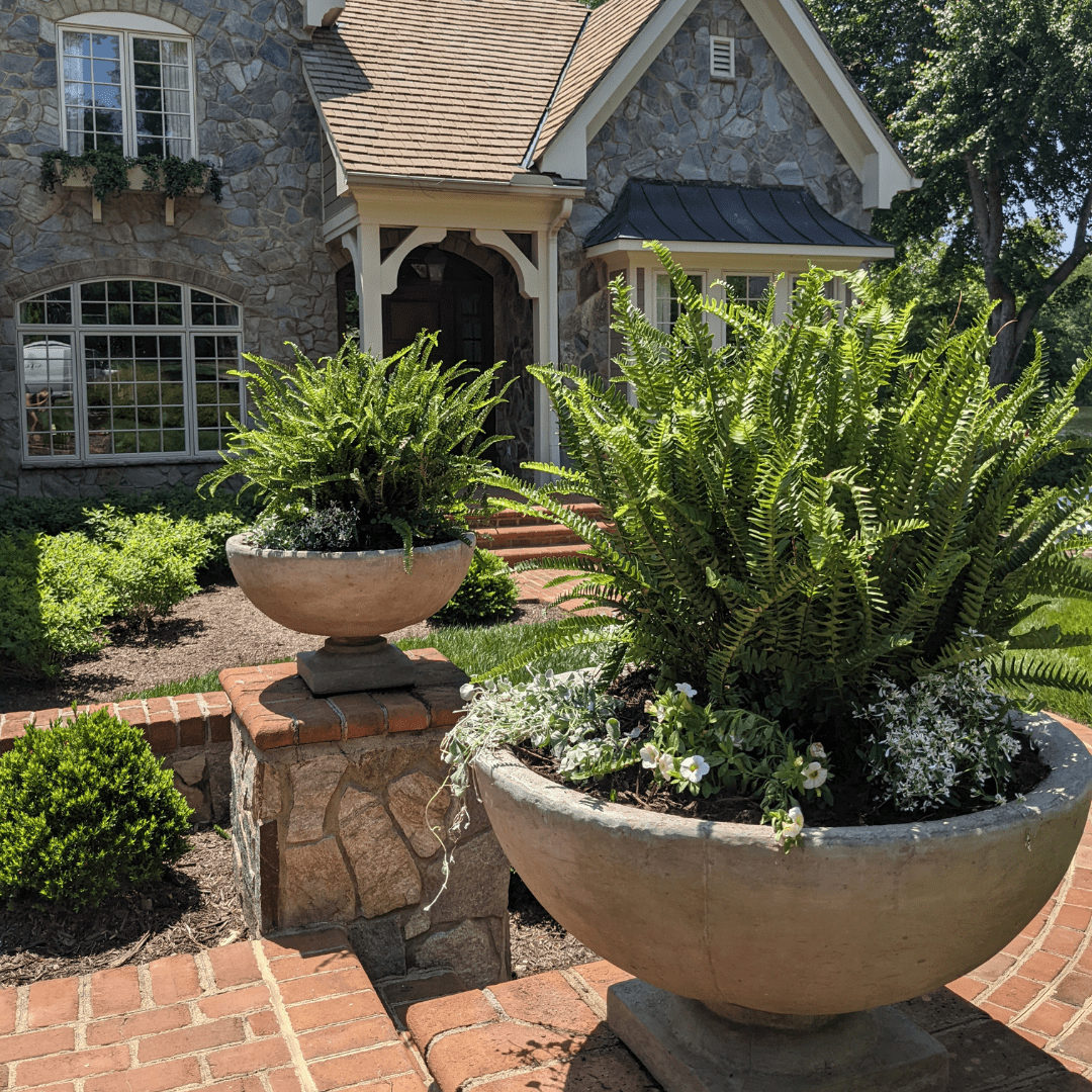 container gardens by interiorscapes