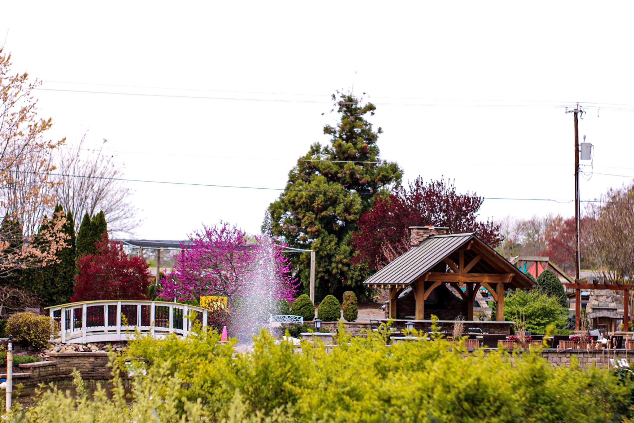 Firewood 1/2 Cord • Cross Creek Nursery and Landscape