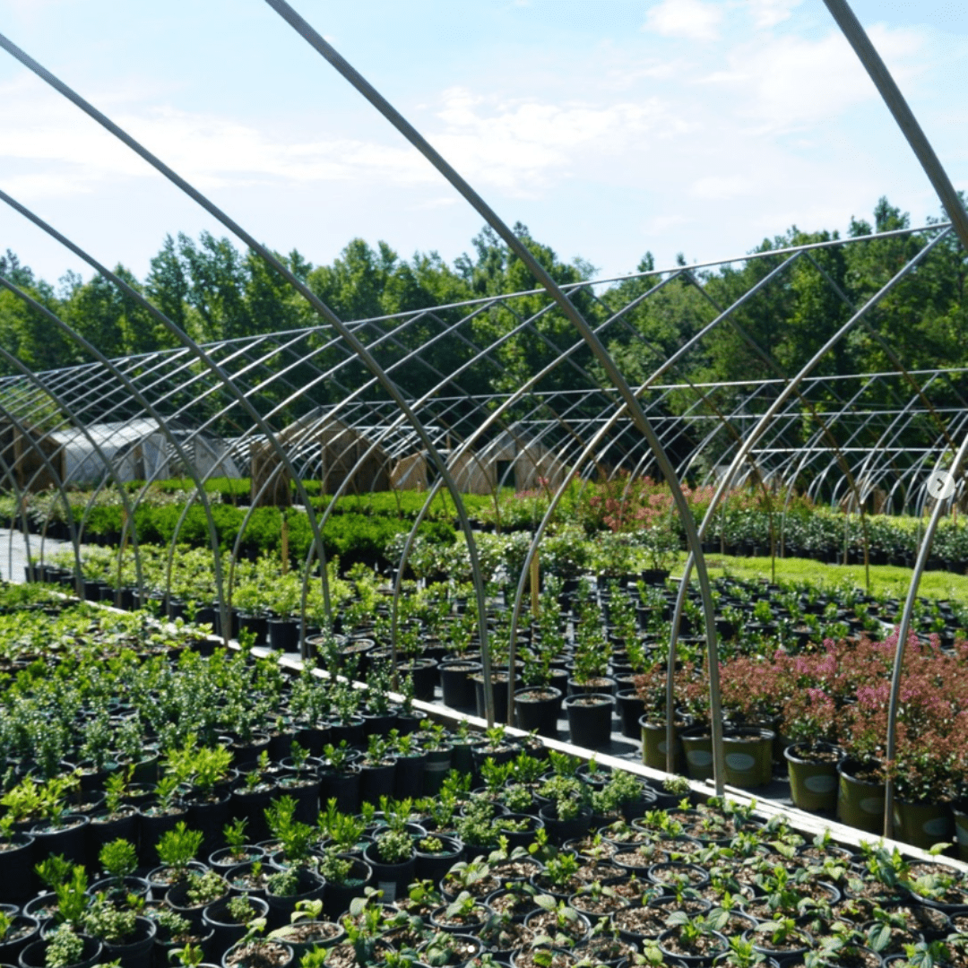 production hoop houses