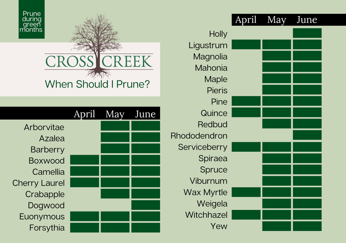 pruning between April and June