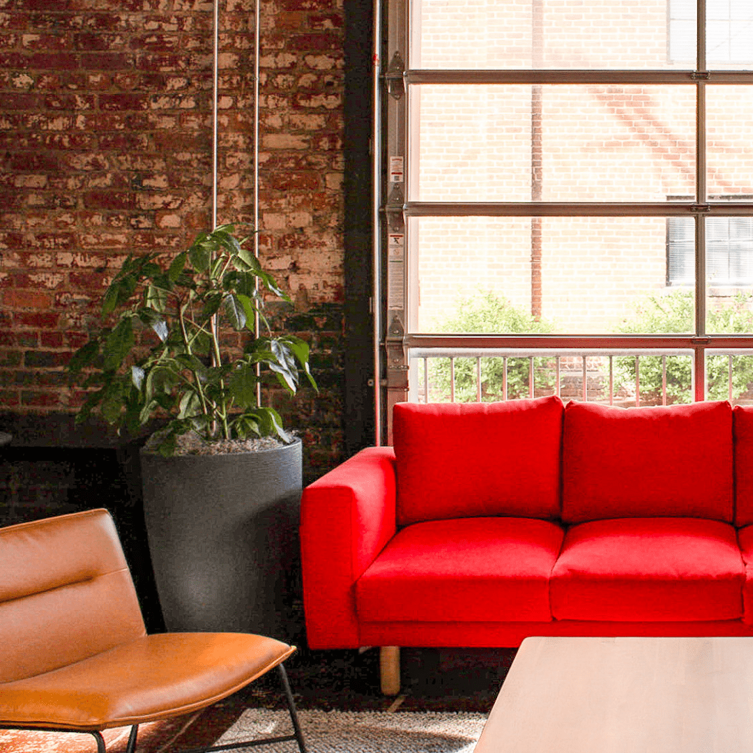 interior plants in office