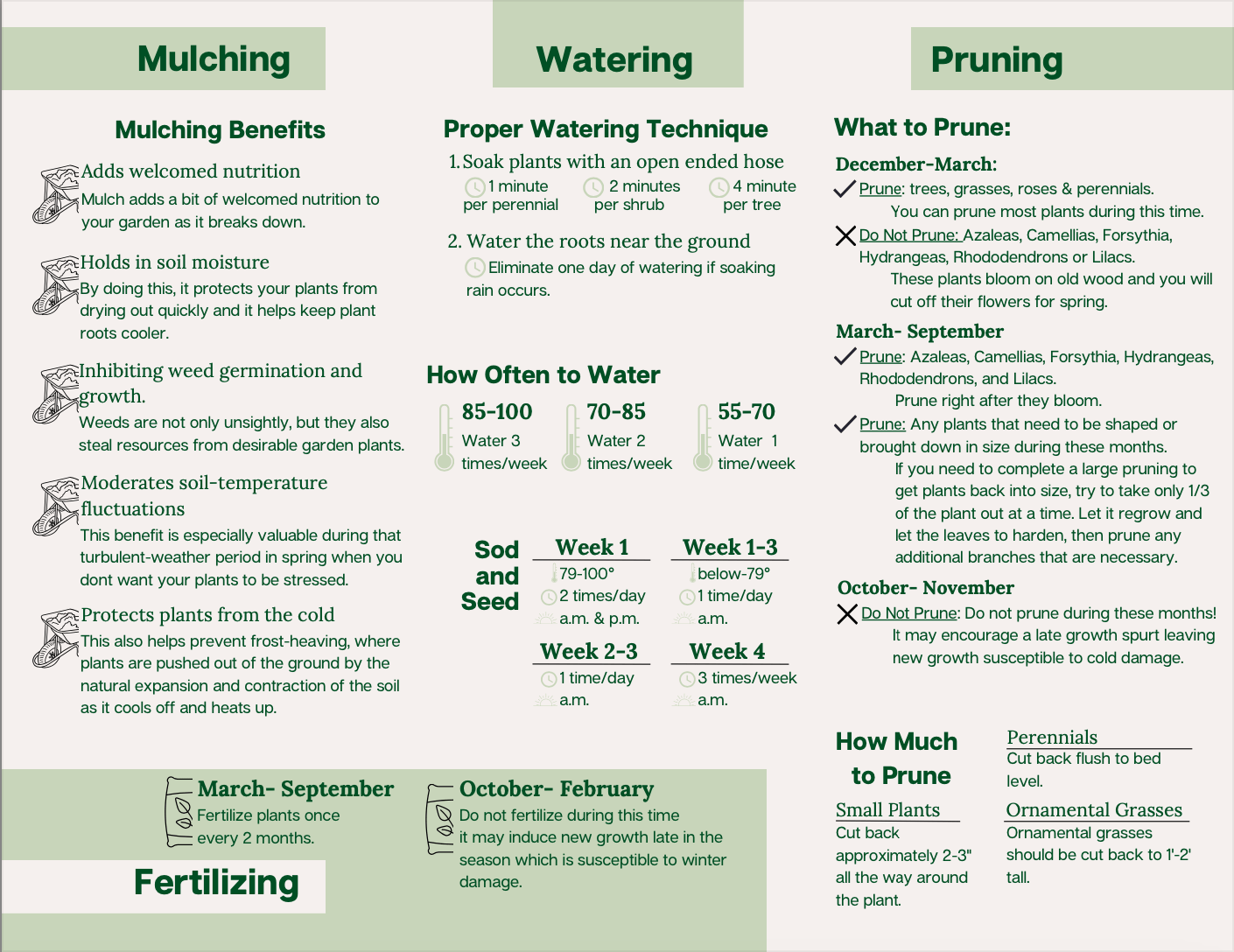 planting and watering guide