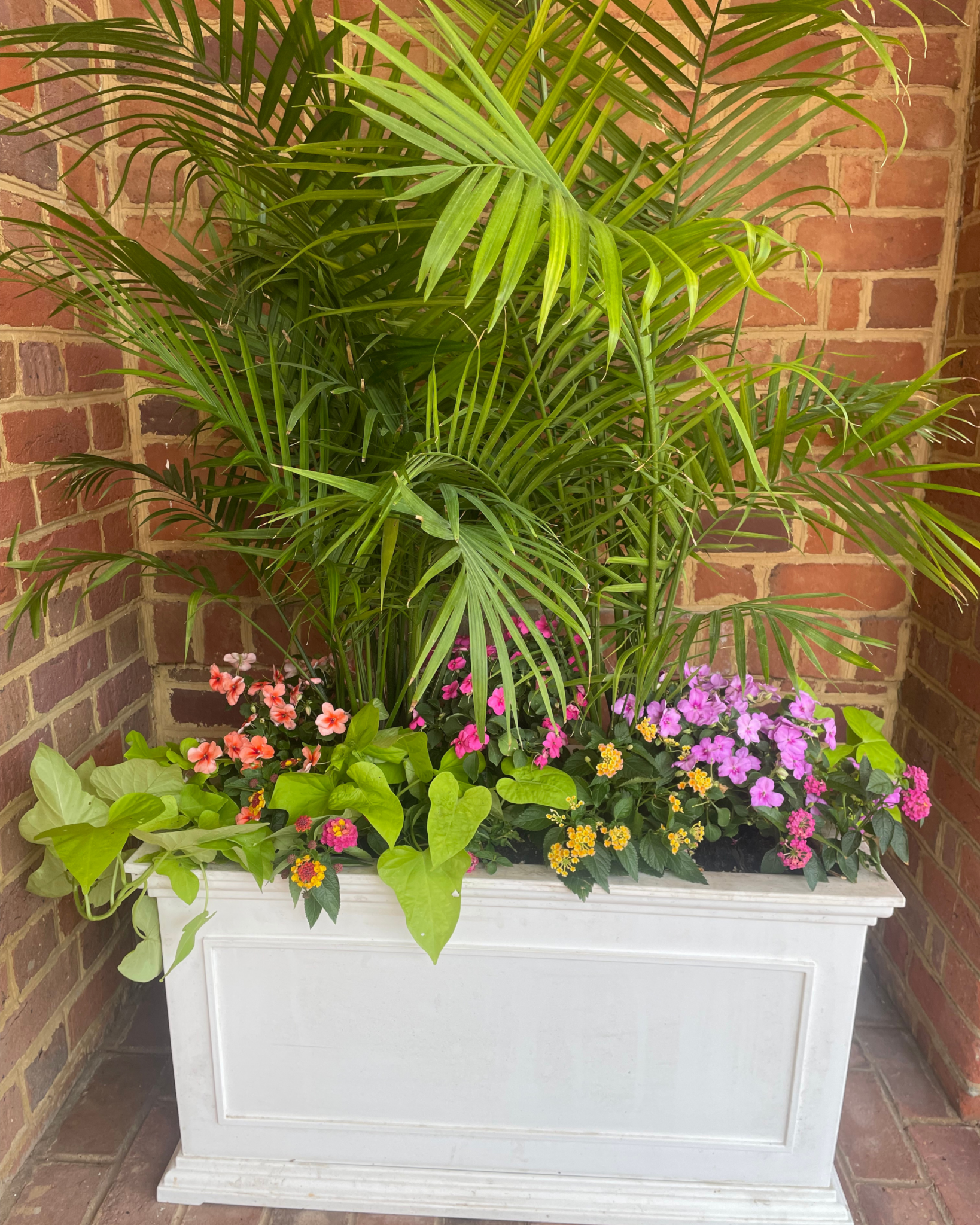 interior- container garden