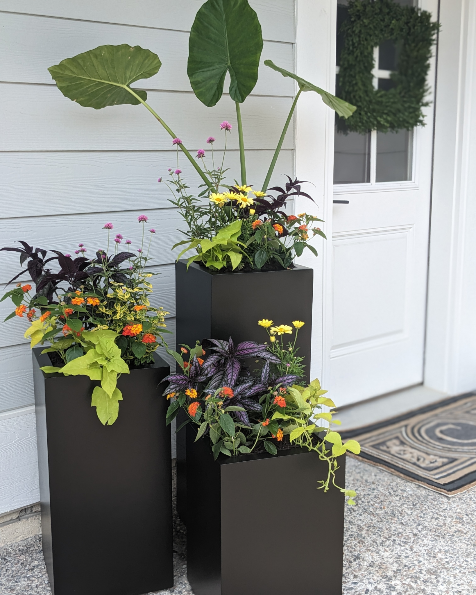 interior- container garden