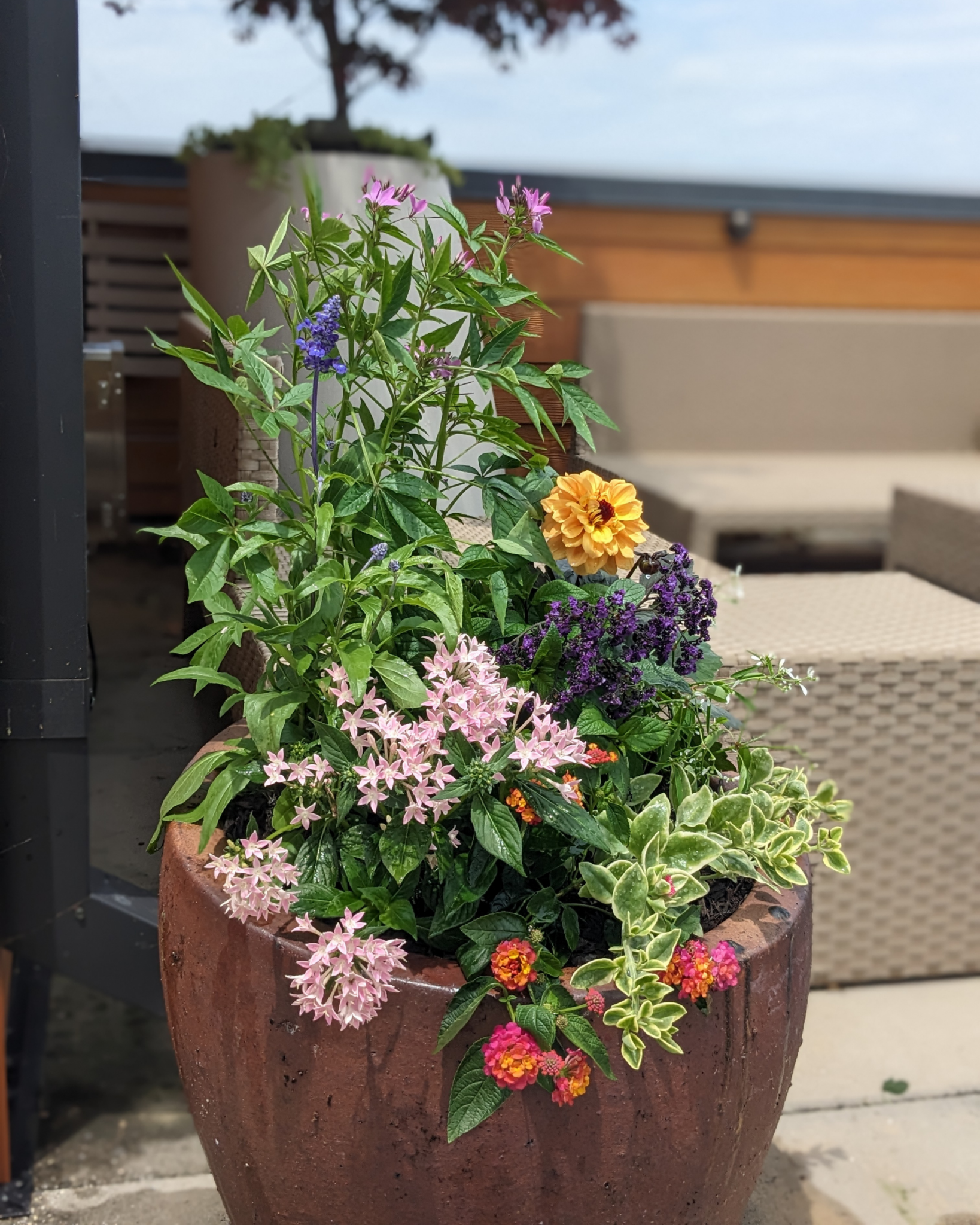 interior- container garden