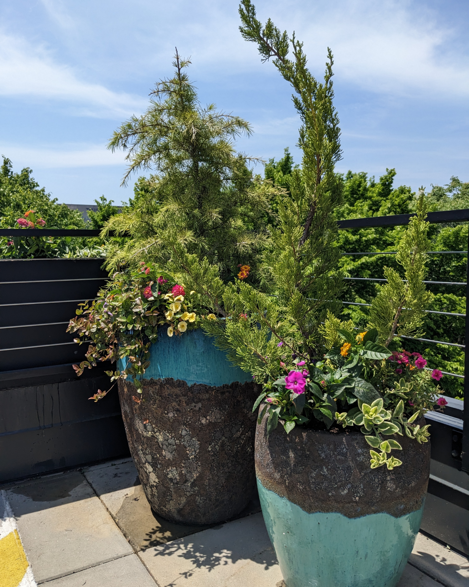 interior- container garden