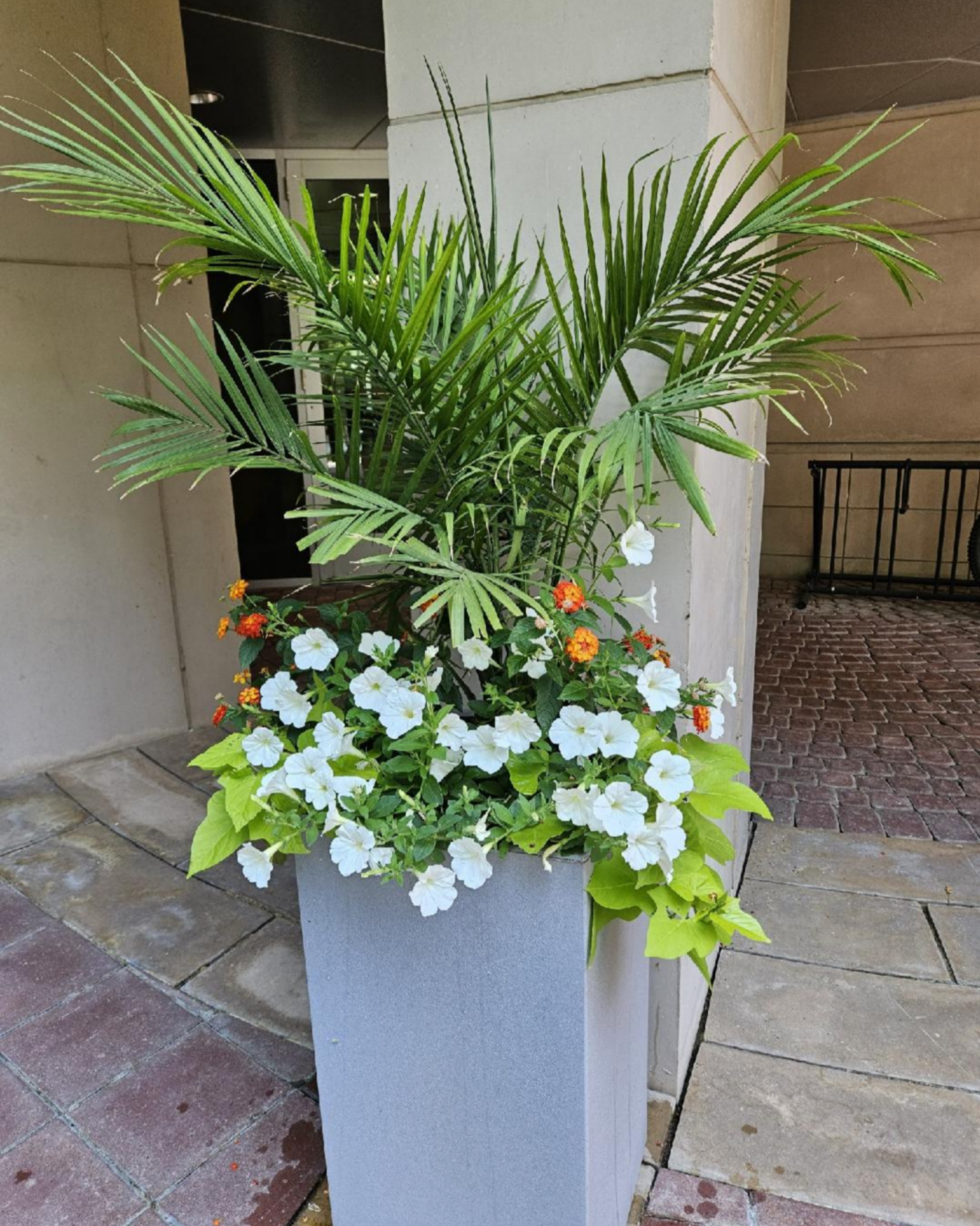 interior- container garden