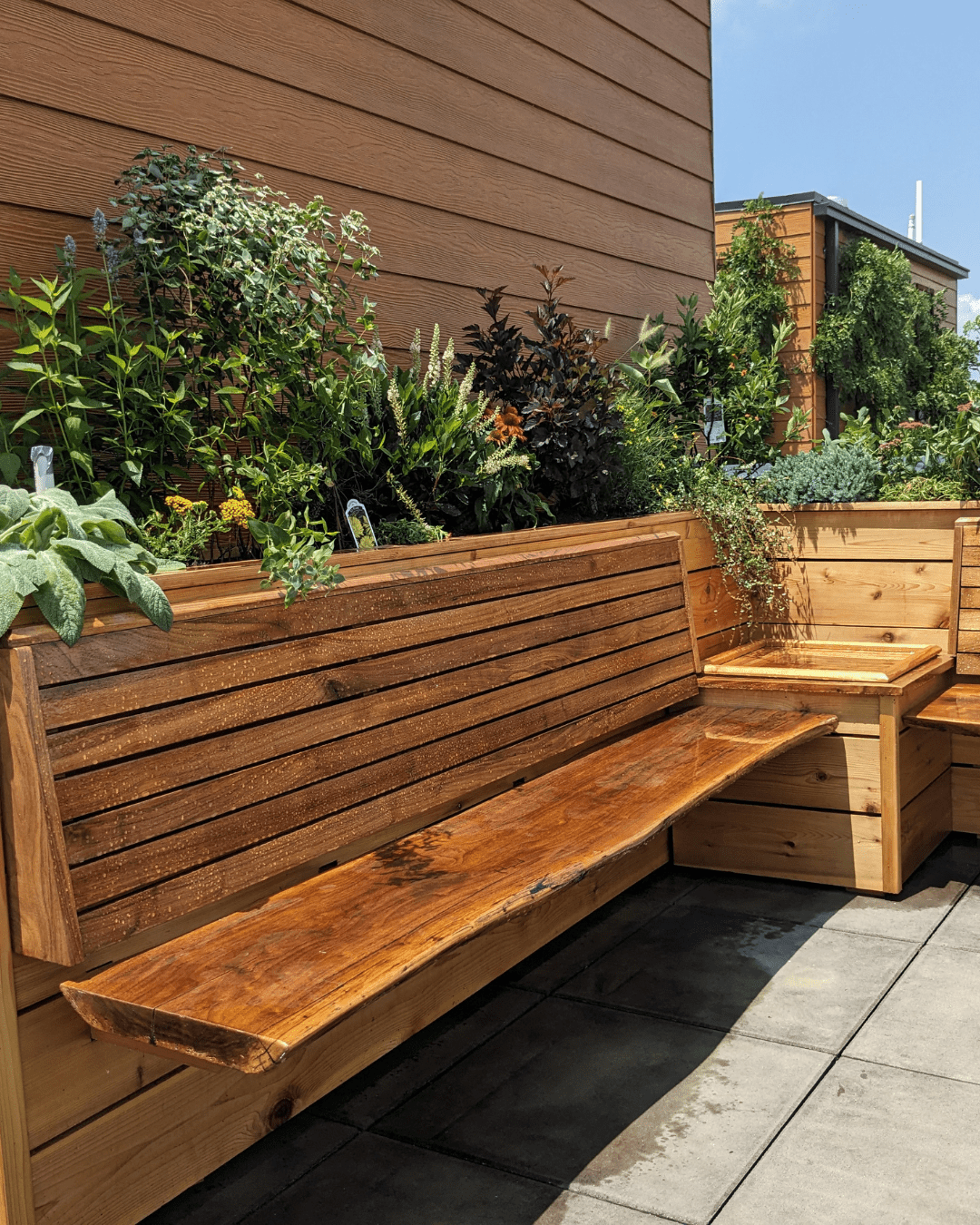 interior- container garden