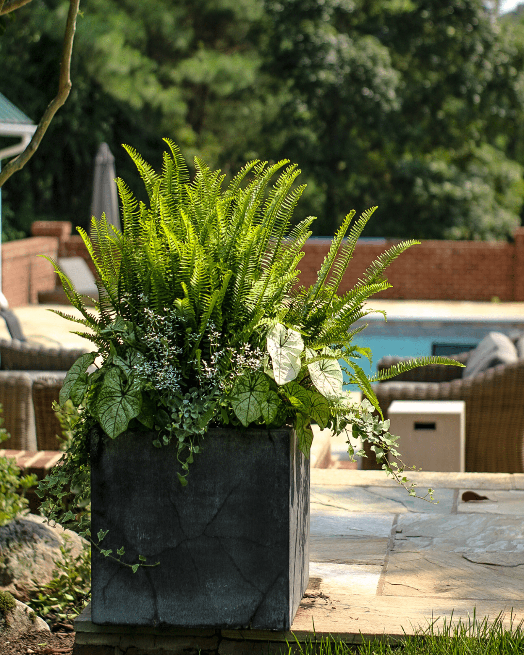 interior- container garden