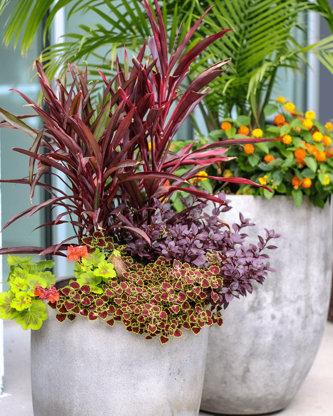 interior- container garden