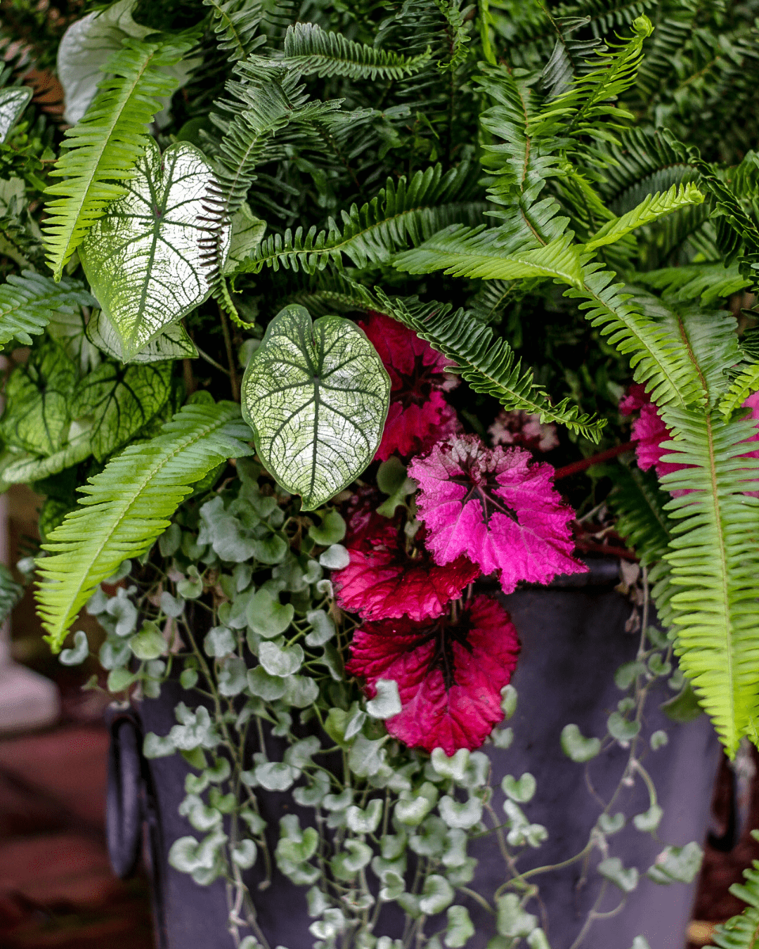 interior- container garden