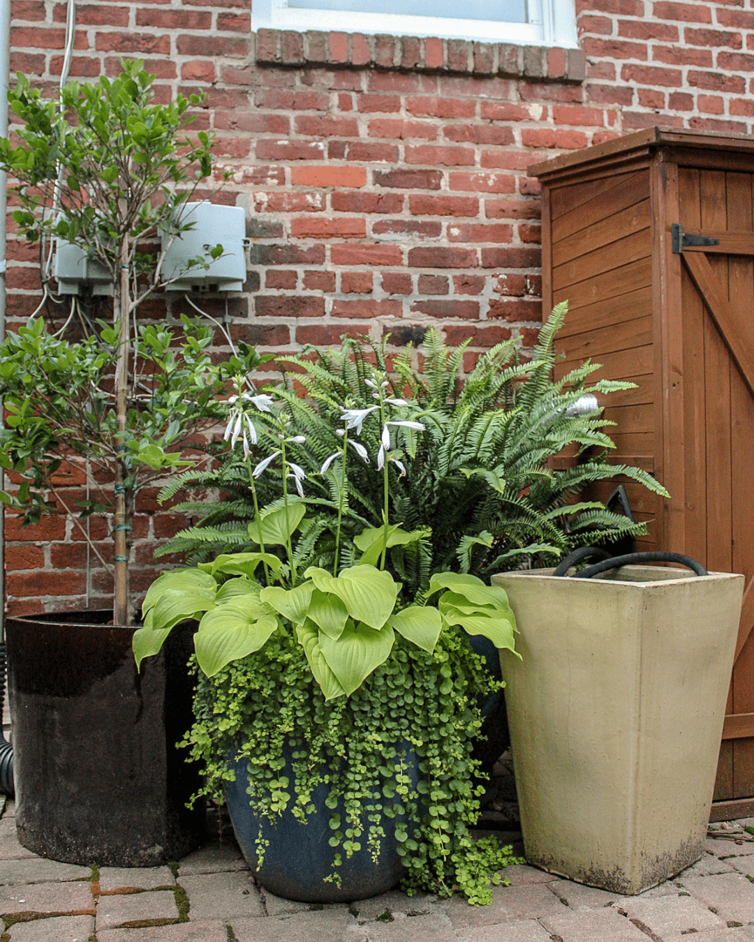 interior- container garden