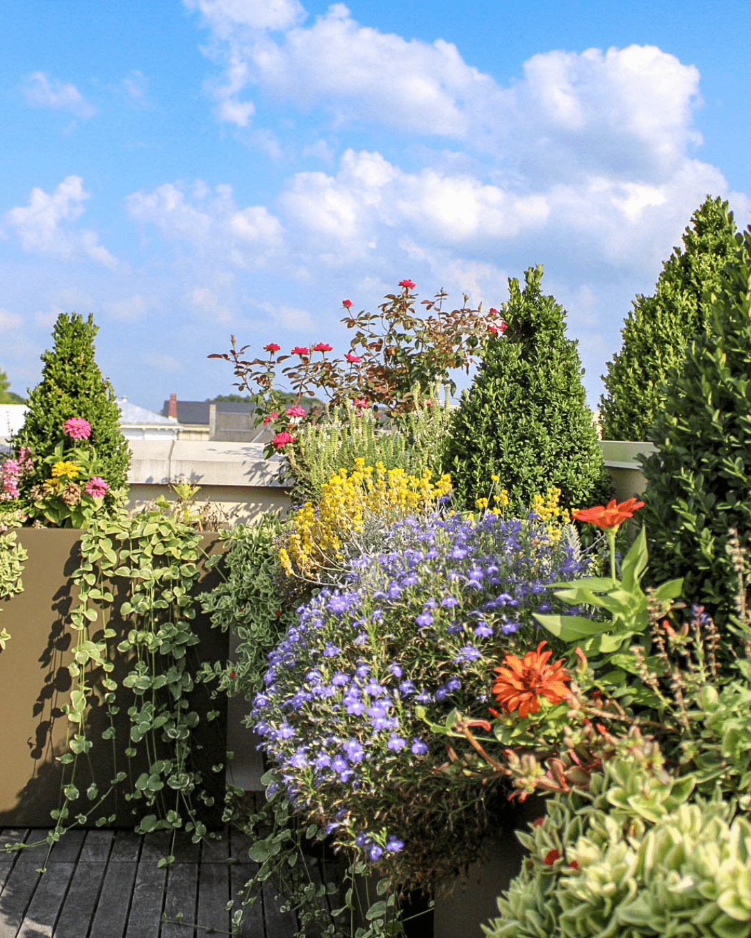 interior- container garden