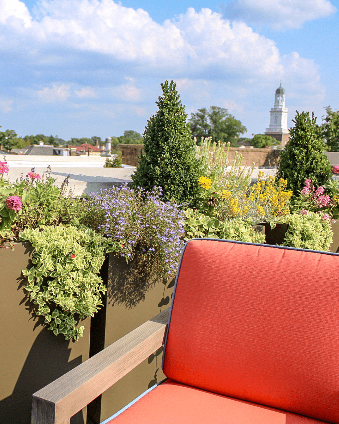 interior- container garden