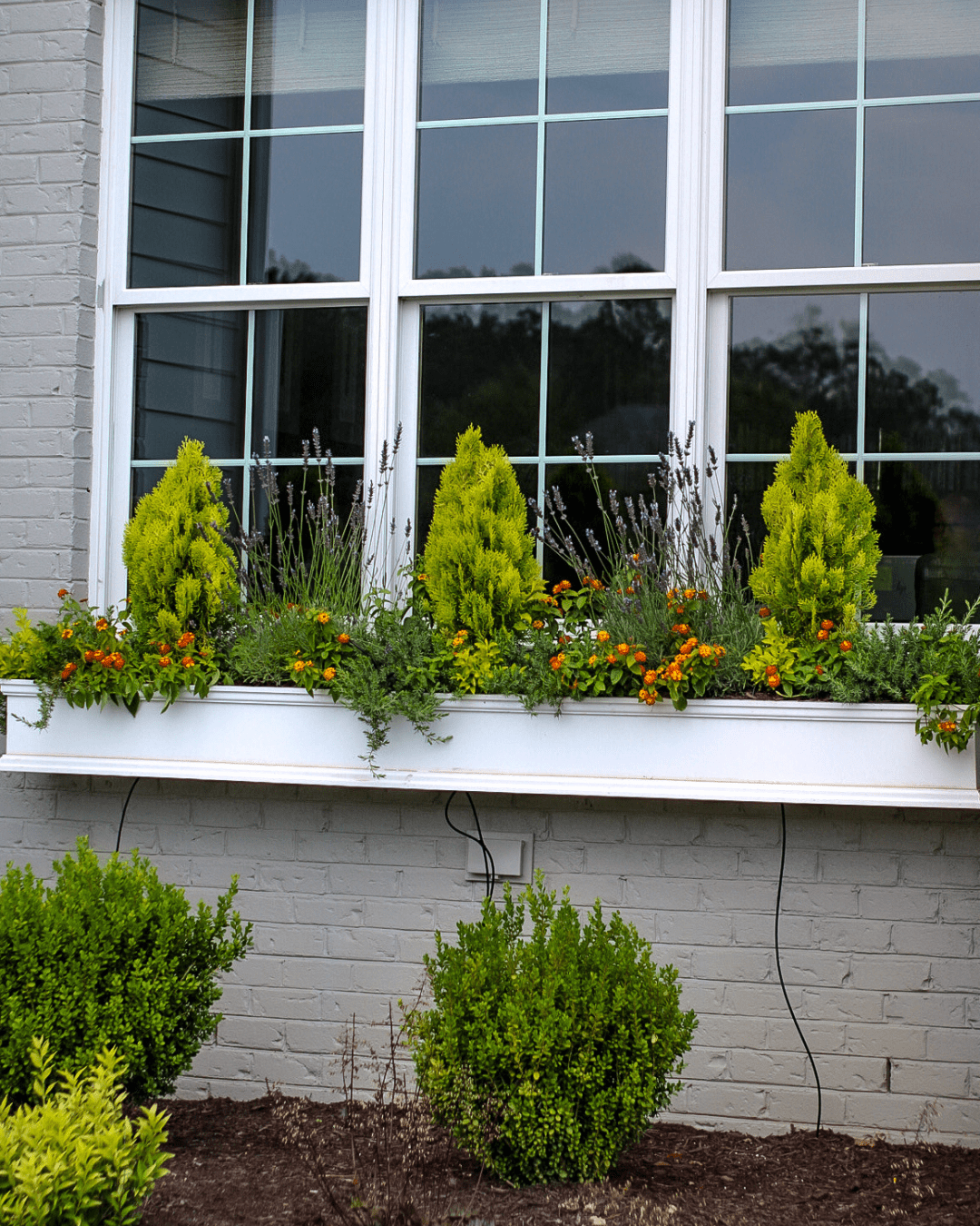 interior- container garden