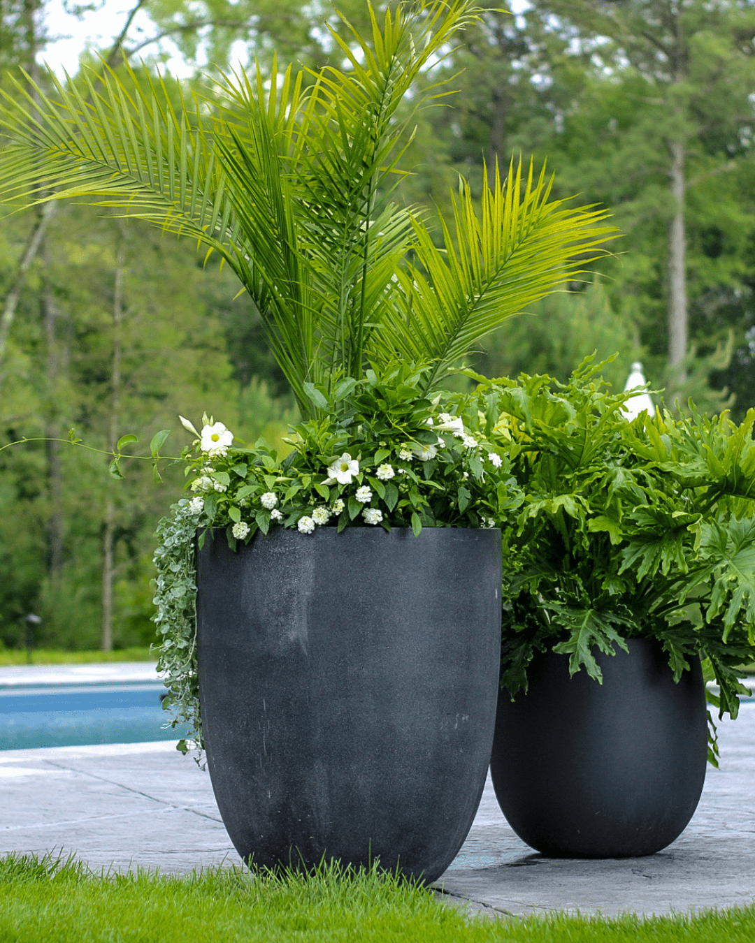 interior- container garden