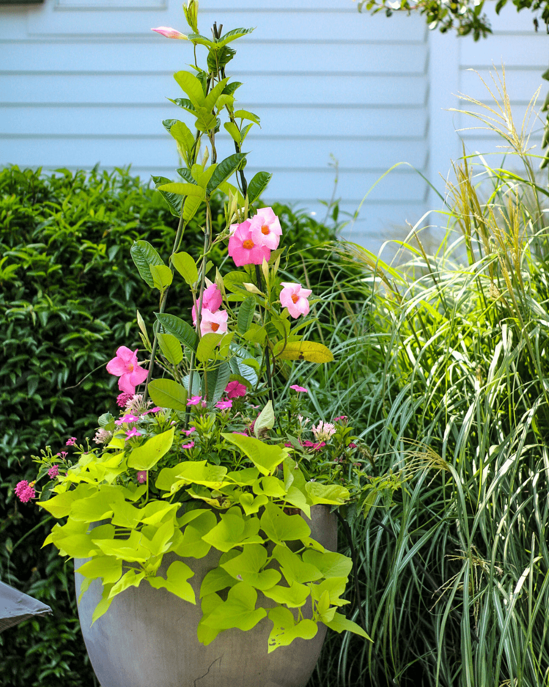 interior- container garden