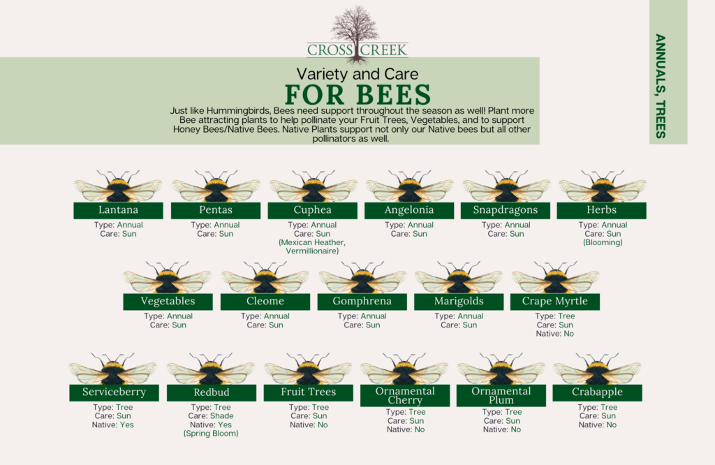 information on bees (annuals and trees)