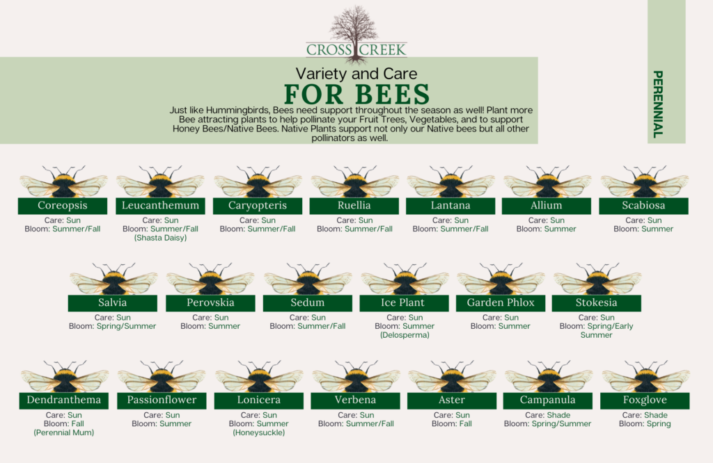 information on bees (perennials)