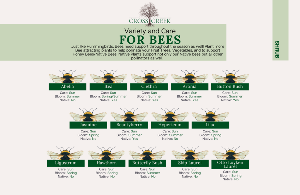information on bees (shrubs)