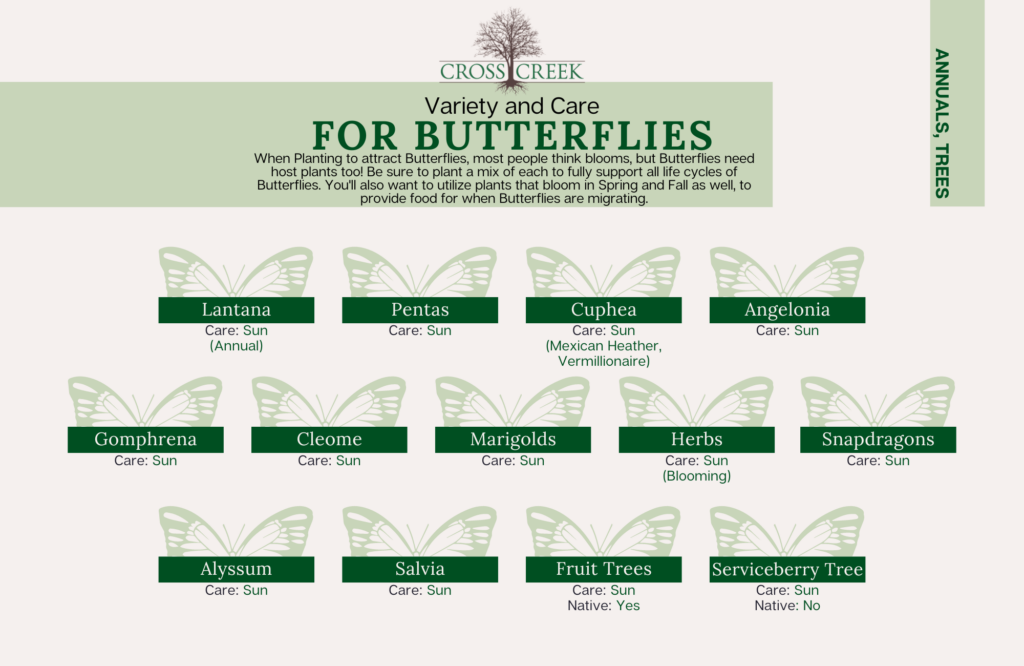 information on Butterflies (native sun perennials) (2)
