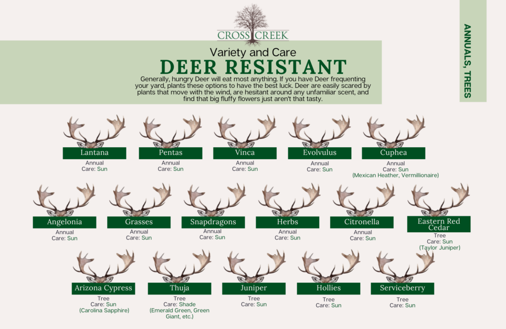 information on Deer Resistant annuals and trees