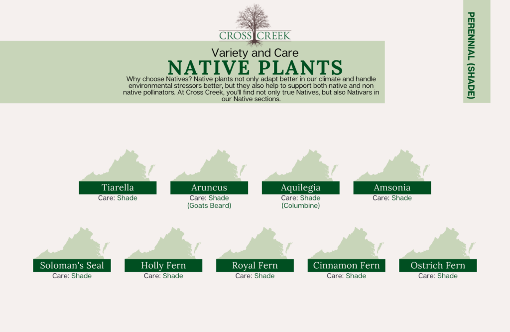 information on native shade perennials