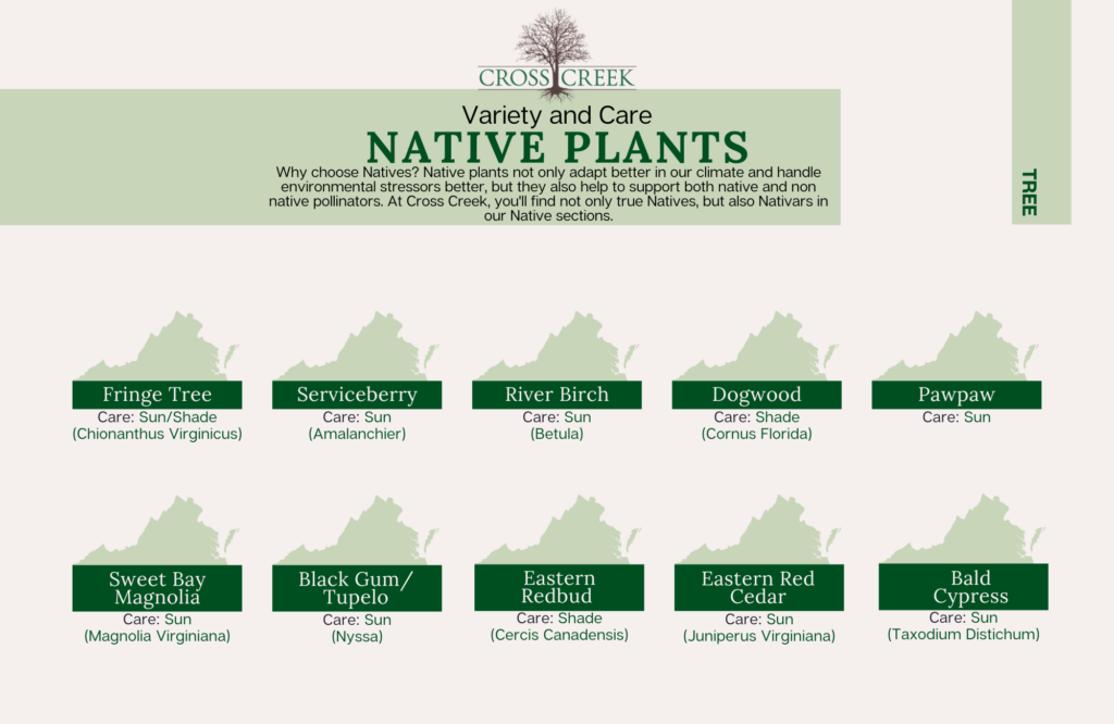 information on native trees