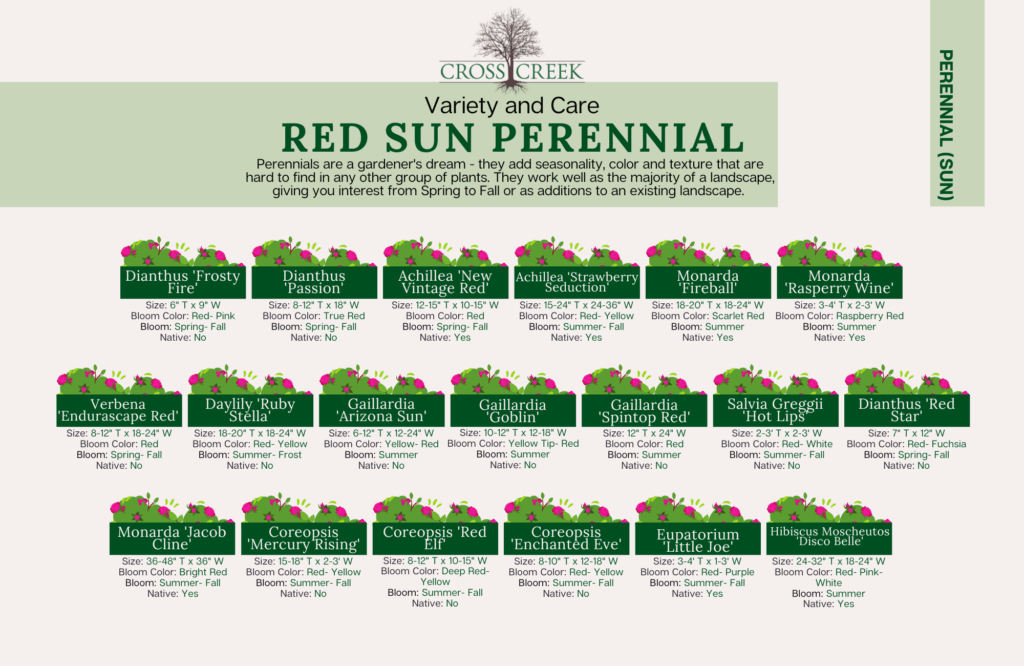 information on Sun Perennials (red)