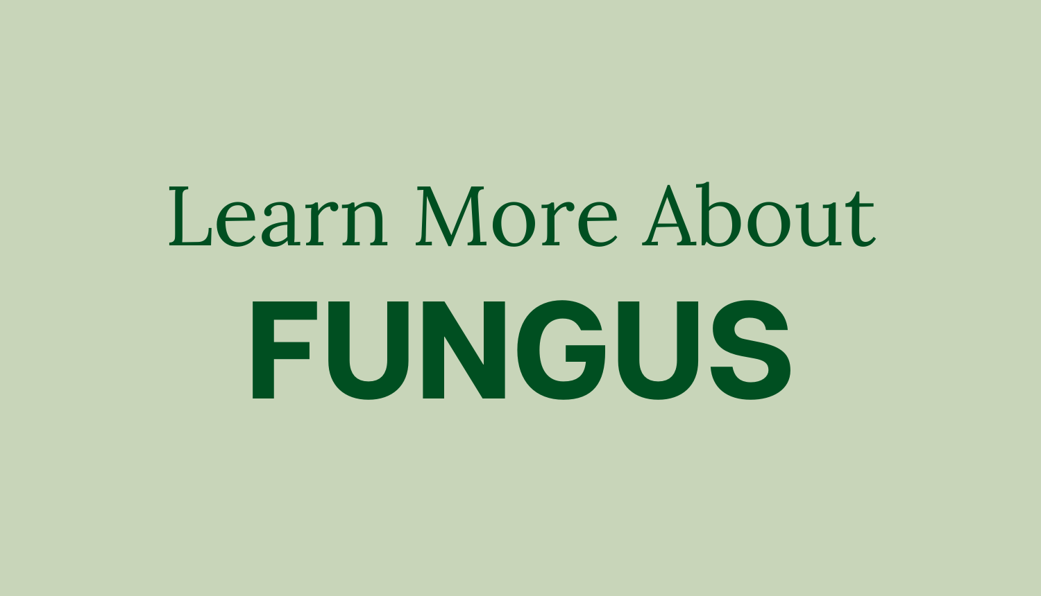 Learn About Fungus