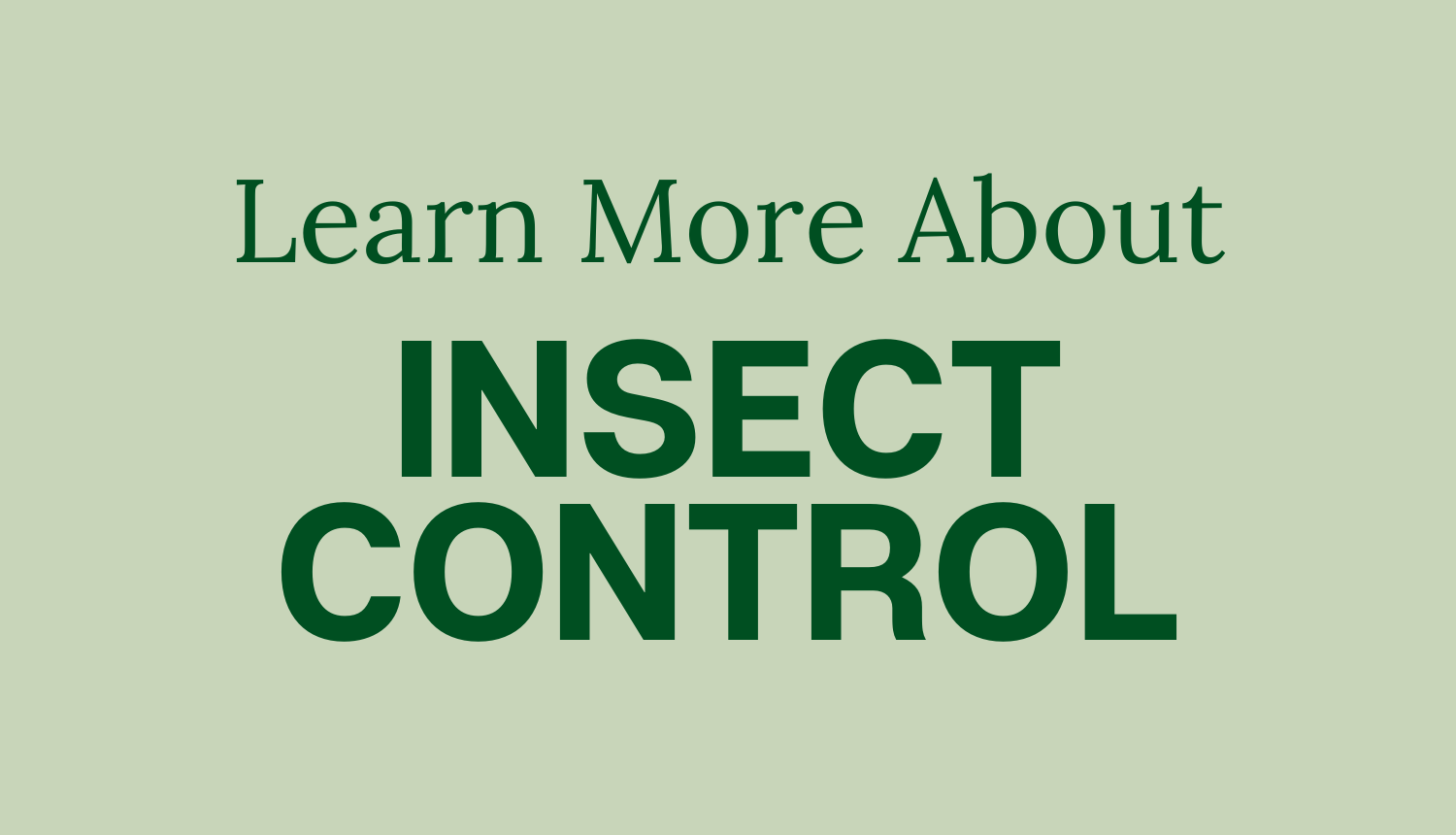 Learn More About Insect Control