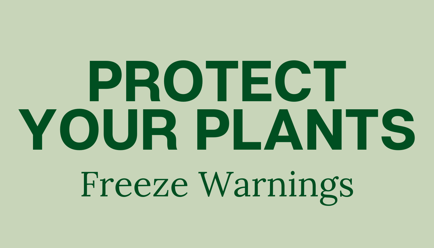 Protect Your Plants