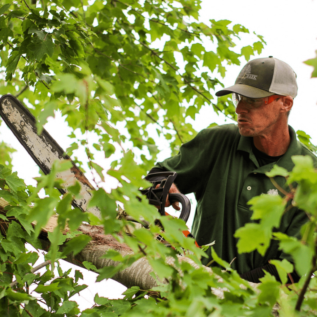 grounds management crew trimming branches