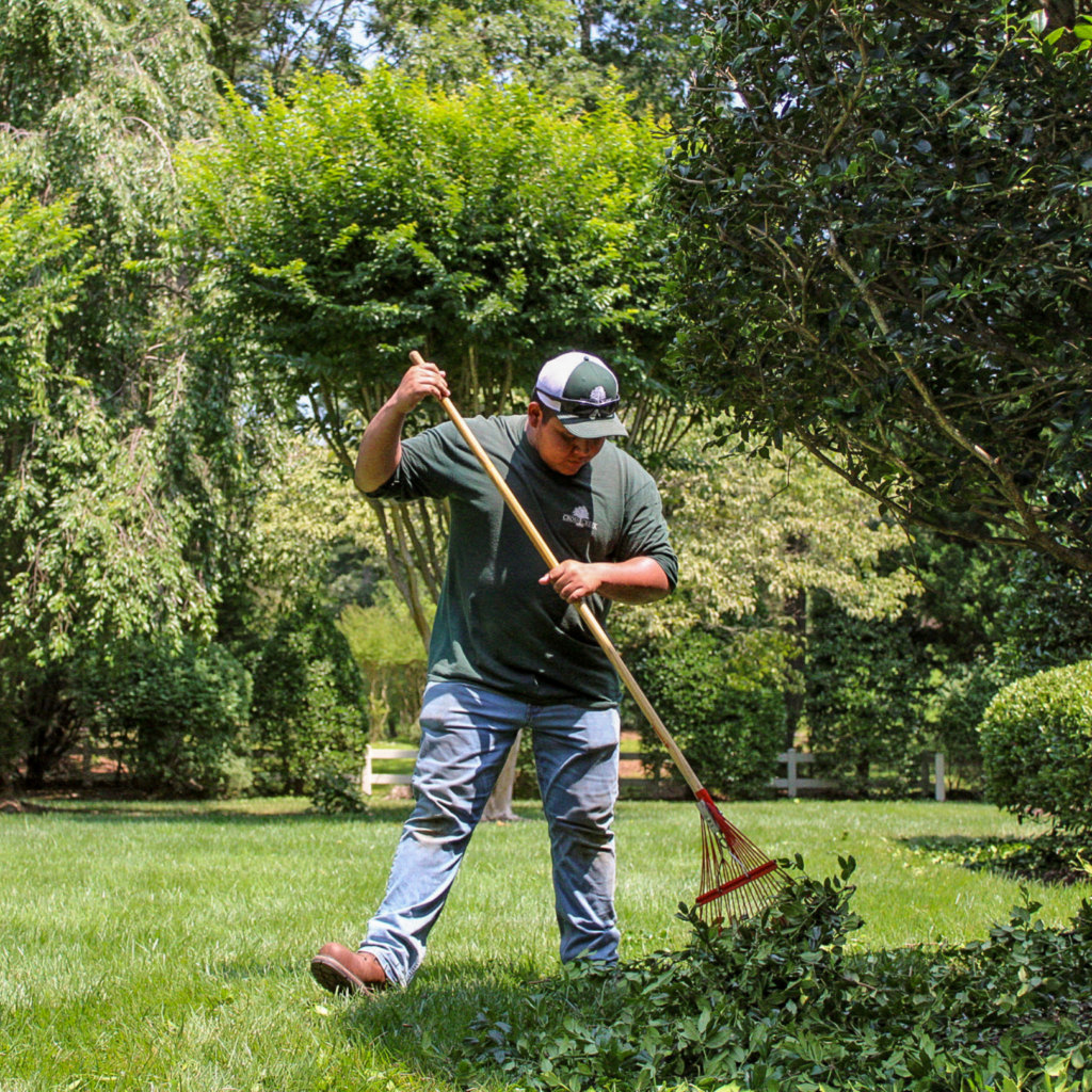 grounds management crew leaf cleanup